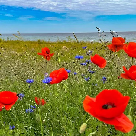 14 Person In Sjaellands Odde Tatil Evi